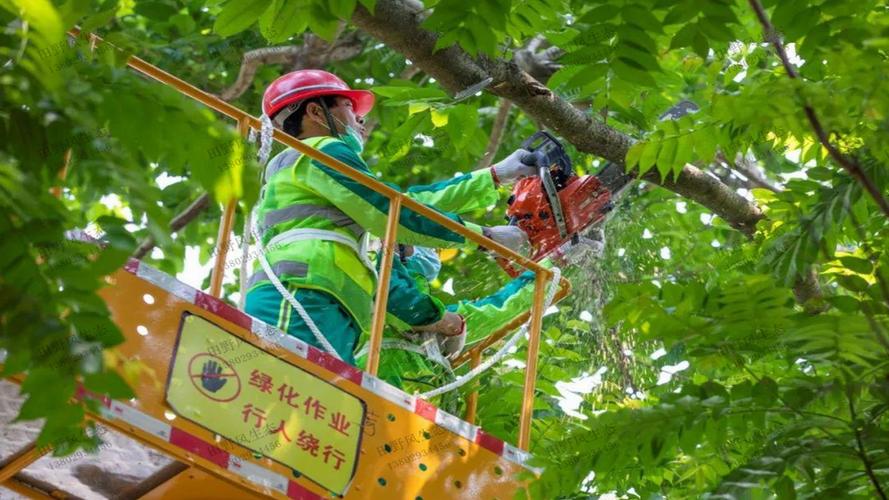 风景园林管理的盲点：缺乏对自然生态的维护